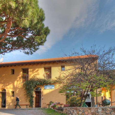 Agriturismo Ca' Di Trincia Pietra Ligure Extérieur photo